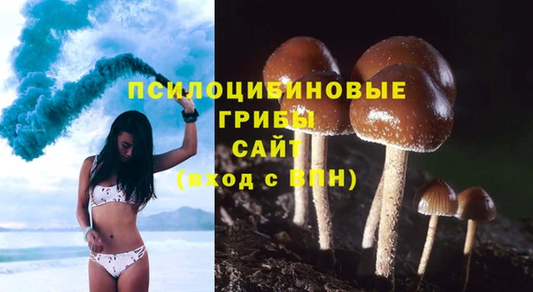 прущая мука Арсеньев