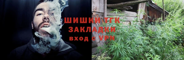 гашик Алексеевка