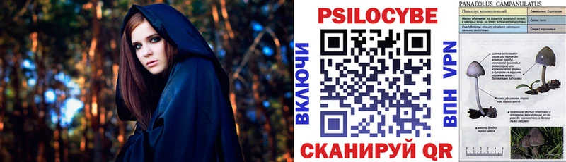 Псилоцибиновые грибы MAGIC MUSHROOMS  где купить   Заполярный 